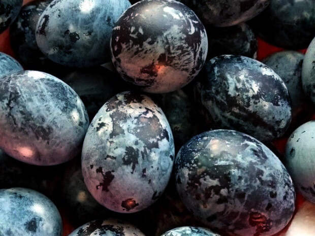 3 самых красивых и необычных способа покраски яиц на Пасху!