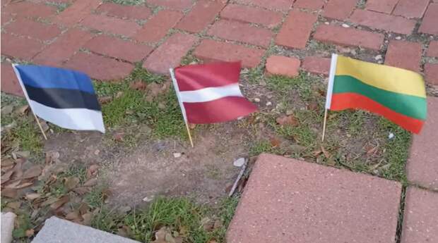 Фон дер Ляйен объявила о разработке европейской «5-й статьи» коллективной обороны – сколько минут отвели Прибалтике ещё не решено 