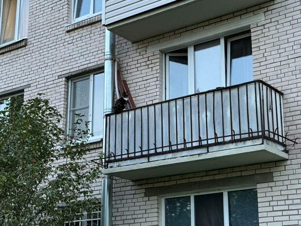 Петербургская спортсменка потеряла жилье по "схеме Долиной"