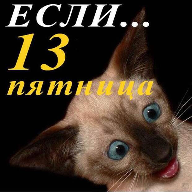 www.vsyako.net