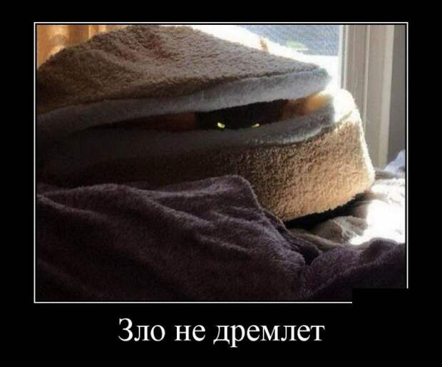 www.vsyako.net