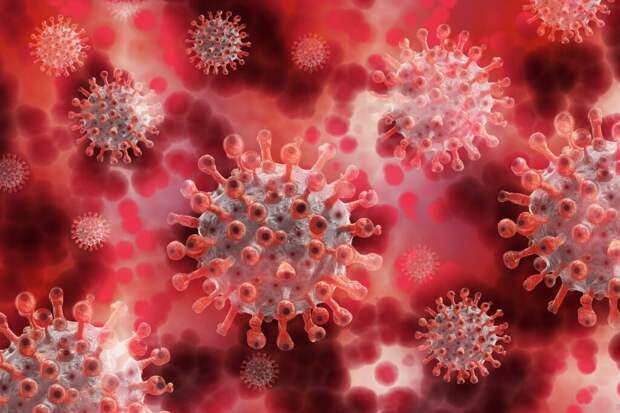 Кандидат медицинских наук, заявил, что в РФ возник всплеск заболеваемости коронавируса