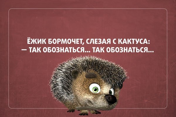 Дорогие бывшие девушки моего мужчины... Улыбнемся)) Дорогие бывшие девушки моего мужчины... Улыбнемся))