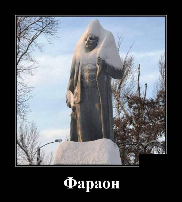 Демотиваторы (30 фото)
