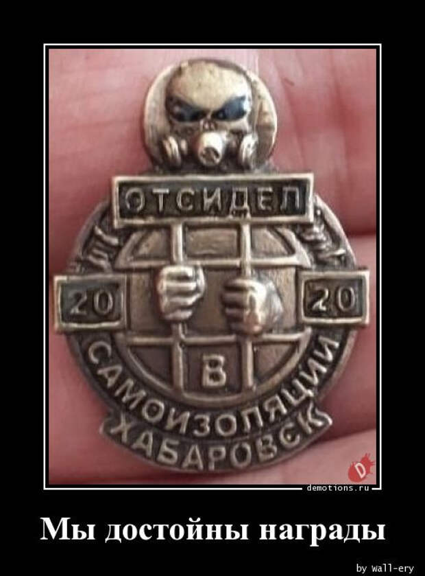 1591339601_demki-19.jpg