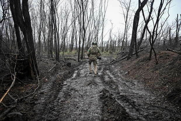 ТАСС: ВСУ усиливают позиции в Харьковской области наемниками из Колумбии