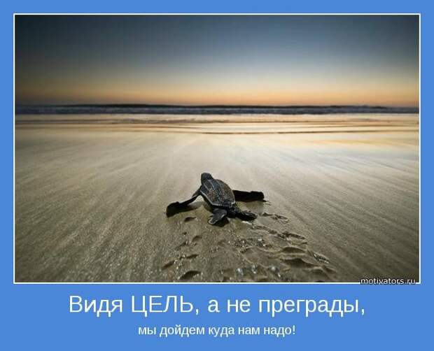 Видя ЦЕЛЬ, а не преграды, мы дойдем куда нам надо