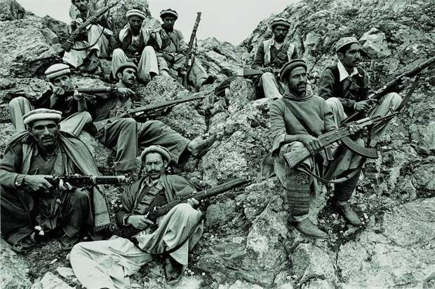 Спецоперация под Суруби война, история, факты