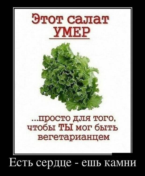 Демотиваторы (30 фото)