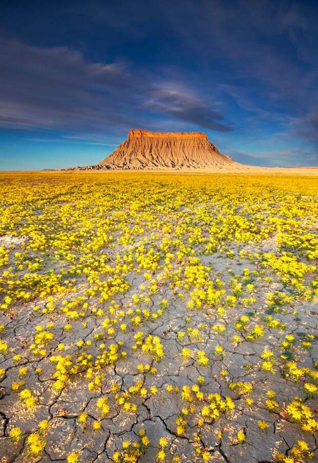 Desert badlands, USA