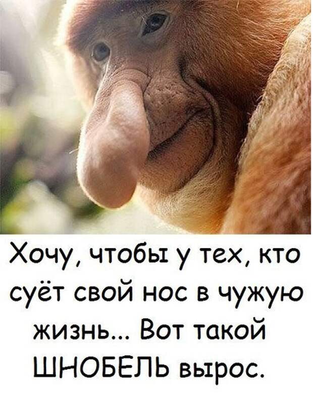 Мысли, которые приходят в голову каждой женщине