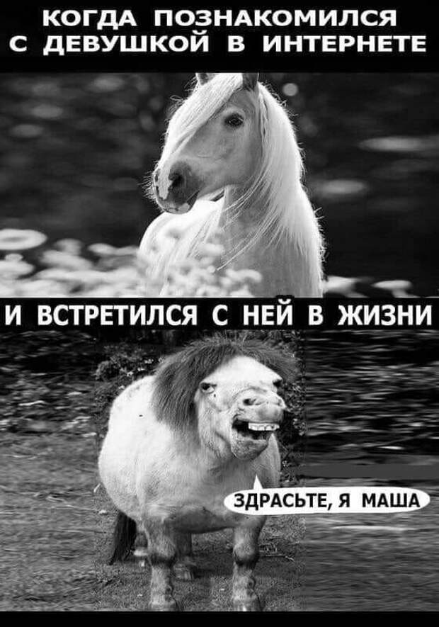 Мясная лавка, минута до закрытия. Вбегает запыхавшаяся женщина...