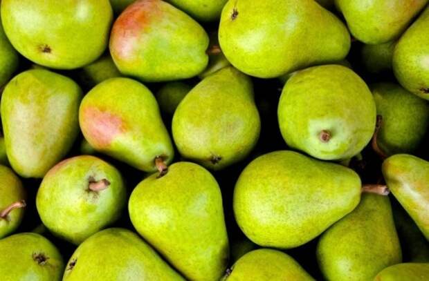 Россельхознадзор запретил ввоз белорусских яблок и груш