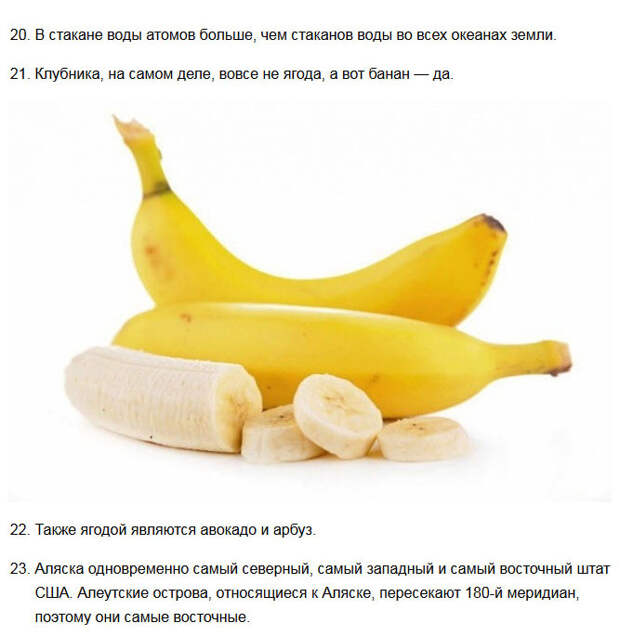 Удивительные короткие факты