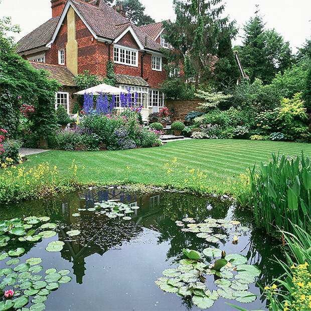 wild-garden-inspiration-pond2.jpg