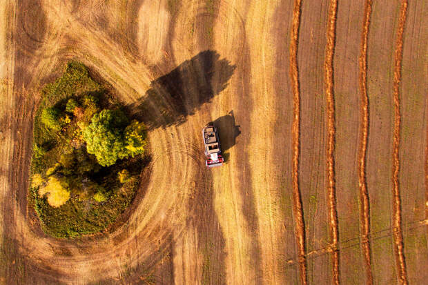 Росстандарт утвердил первый ГОСТ на российскую фермерскую продукцию