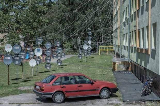 Если бы глупость облагалась налогом, то деньги некуда было бы девать