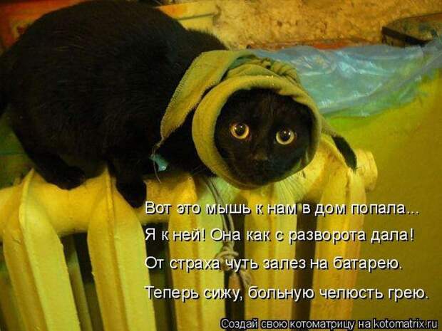 Мысли вслух :)