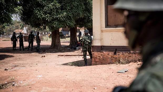 Внесут свой вклад в поиск правды: Захарова прокомментировала расследование Федерального агентства новостей в ЦАР Внесут свой вклад в поиск правды: Захарова прокомментировала расследование Федерального агентства новостей в ЦАР