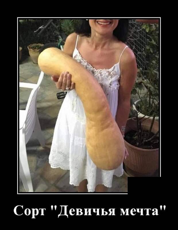 demotivatory-demotivator-smeshnye-demotivatory-demotivator-so-smyslom