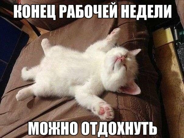 Мысли, которые приходят в голову каждой женщине