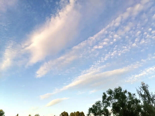 Климатолог Киселев: Один из грядущих сезонов компенсирует аномально холодную зиму