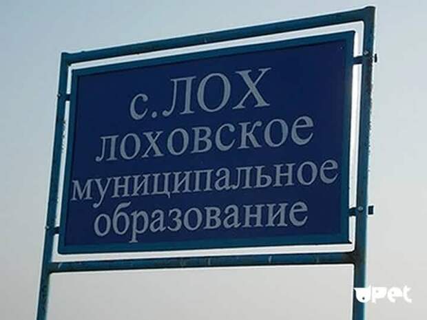 название, указатель