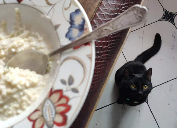 На Украине начался ажиотажный спрос на гречневую крупу