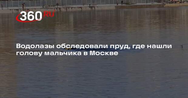 Водолазы обследовали пруд, где нашли голову мальчика в Москве