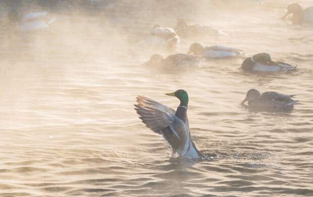 Обойдется без облаков: какая погода ждет Петербург 23 февраля