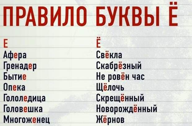 https://i.pinimg.com/originals/77/12/6e/77126e6ce85669d1a984708dc2b98989.jpg