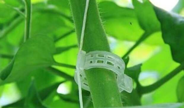 Многоразовые кольца для подвязки растений