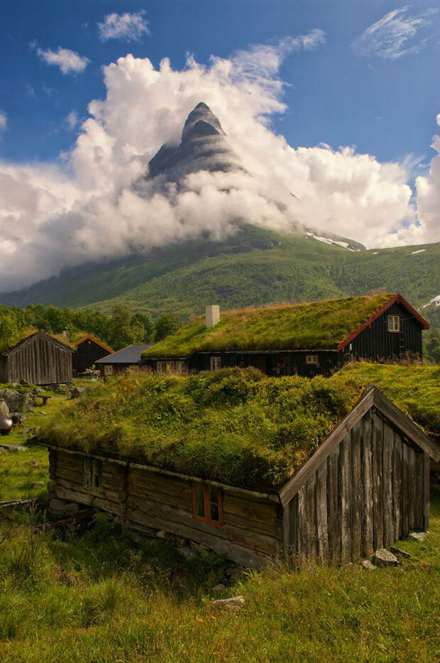 Скандинавские дома с зелёными крышами, которые выглядят, словно из сказки