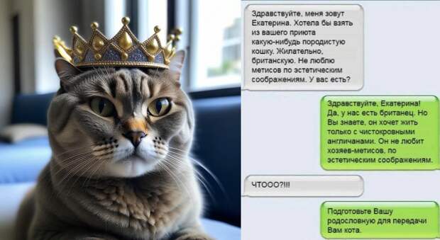 Сгенерировано в нейросети Кандинский 2.2 + Яндекс картинки