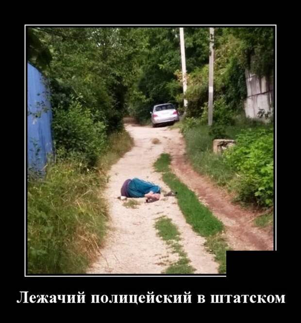 Демотиваторы (20 фото)