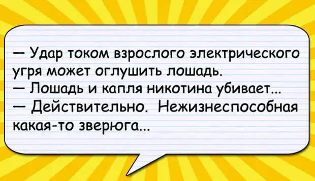— Дорогой, когда мы поженимся, я буду делить с тобой все твои тревоги и заботы...