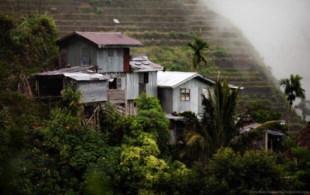 Рисовые террасы Банауэ Рисовые террасы Банауэ