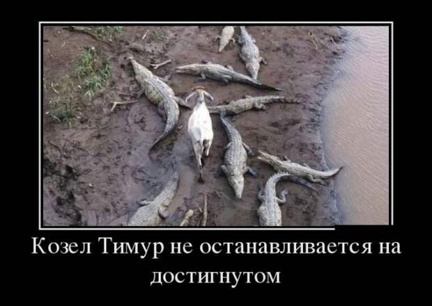 demotivatory_na_subbotu_29_foto_1.jpg