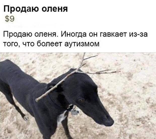 Прикольные и забавные картинки с надписью из жизни (10 фото) Прикольные и забавные картинки с надписью из жизни (10 фото)