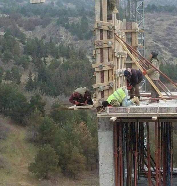 Номинанты на премию Дарвина