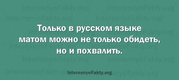 Особенности русского языка - INFOnotes