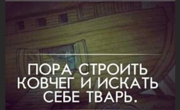 Юмор на любителя Юмор на любителя