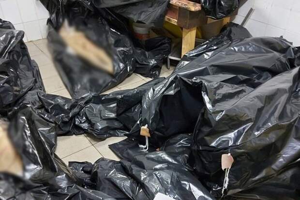 Главу депздрава Томской области уволили за фото сваленных мешков с трупами Главу депздрава Томской области уволили за фото сваленных мешков с трупами