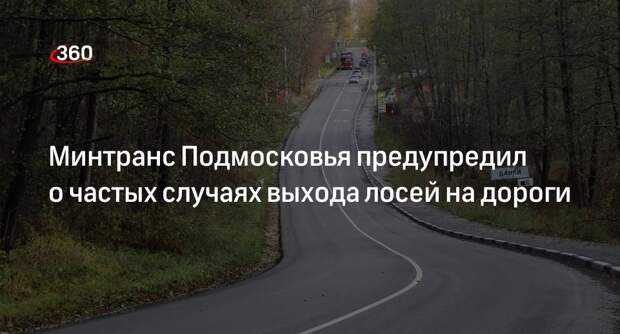 Минтранс Подмосковья предупредил о частых случаях выхода лосей на дороги