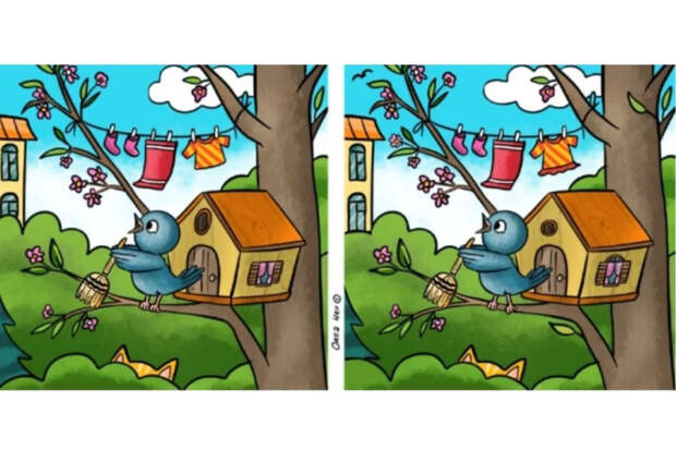 Птичка спрятала 11 отличий — найдете за 37 секунд