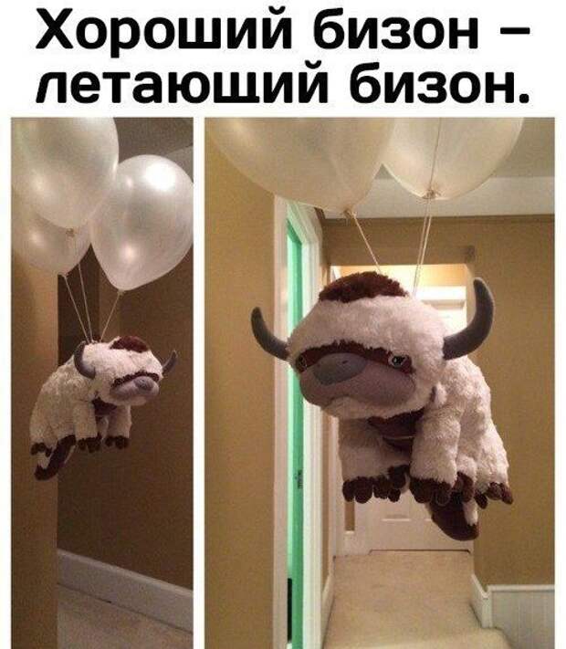 Подборка картинок. Вечерний выпуск (56 фото)