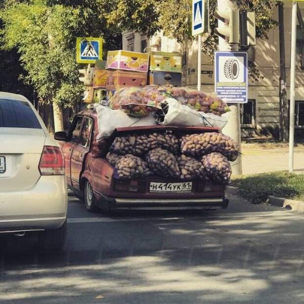 Подборка смешных и веселых картинок для позитива (11 фото) Подборка смешных и веселых картинок для позитива (11 фото)