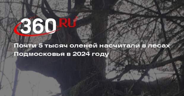 Почти 5 тысяч оленей насчитали в лесах Подмосковья в 2024 году