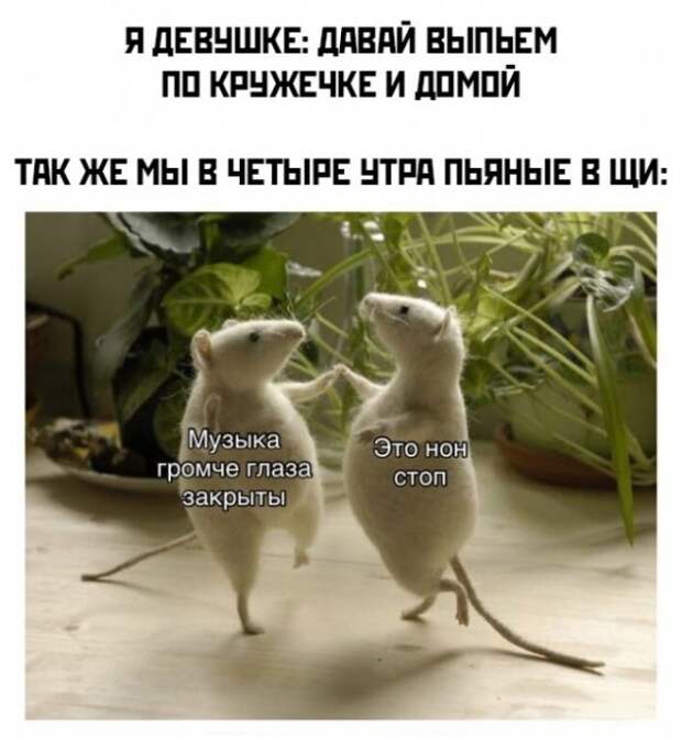 Весёлые