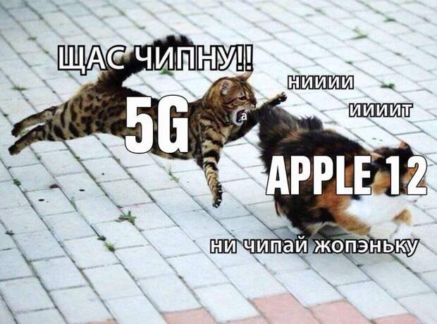 мемы про iPhone 12 